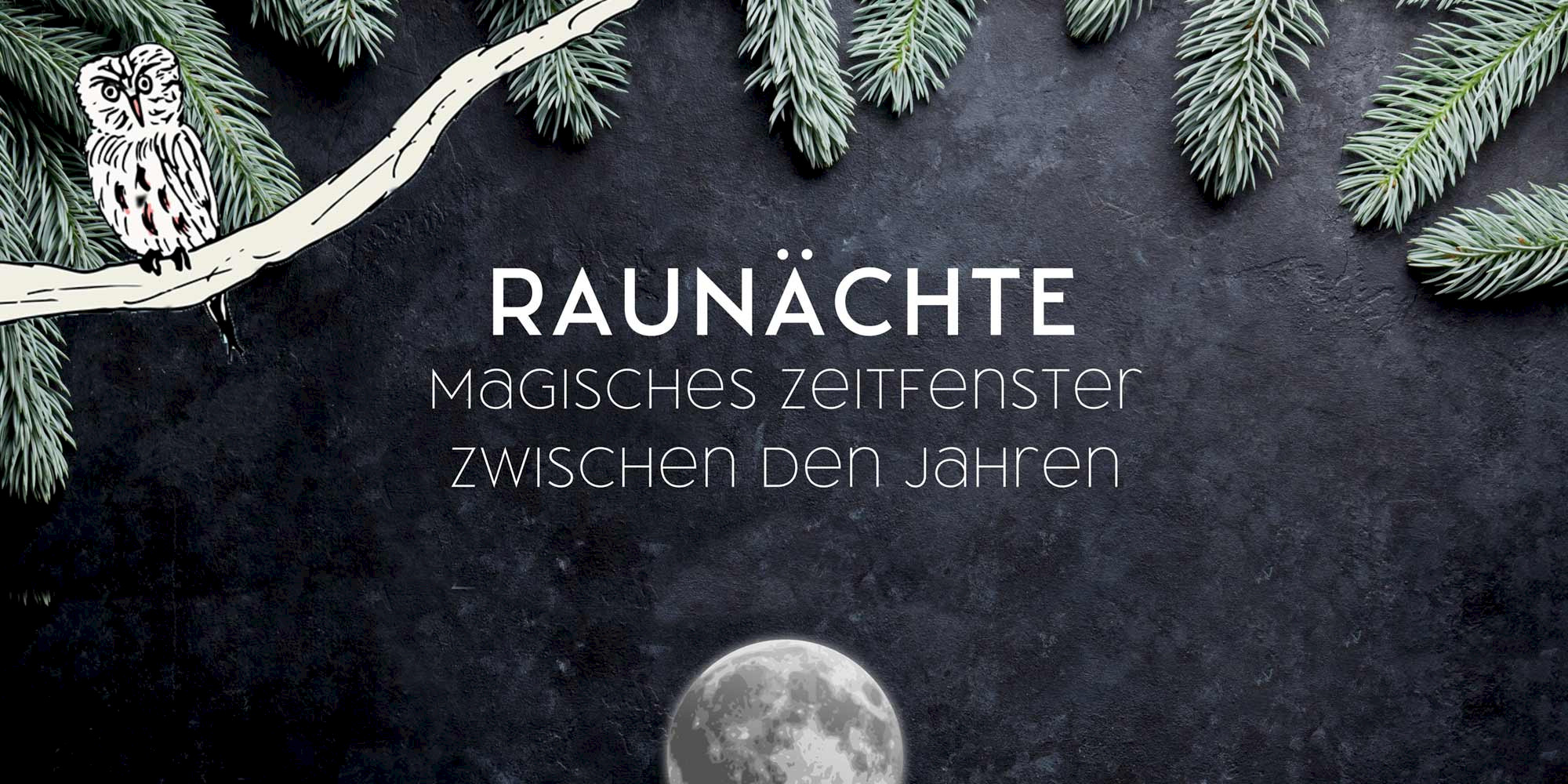 Illustration einer Eule die auf einem Ast sitzt, im Hinterbrund sind Tanneäste und der Vollmond zu sehen.