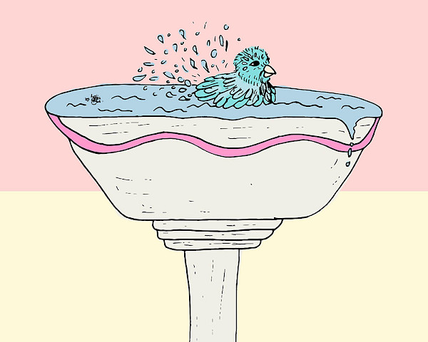 Hand-Illustration eines Vogels zu sehen, der in einem mit Wasser gefülltem Kelch badet. Das Wasser spritzt über seinem Gefieder umher und er macht einen fröhlichen Gesichtsausdruck.